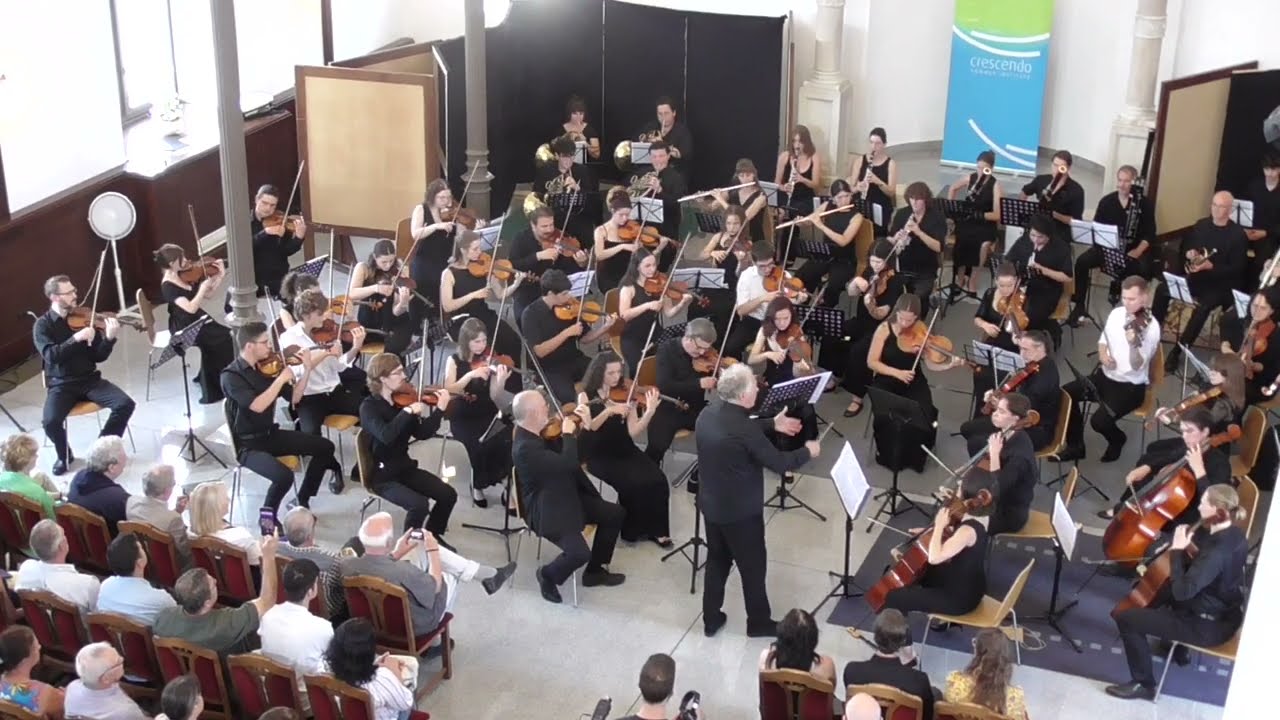 Johannes Brahms: Symphony in E minor, no. 4, op. 98. Movement 1