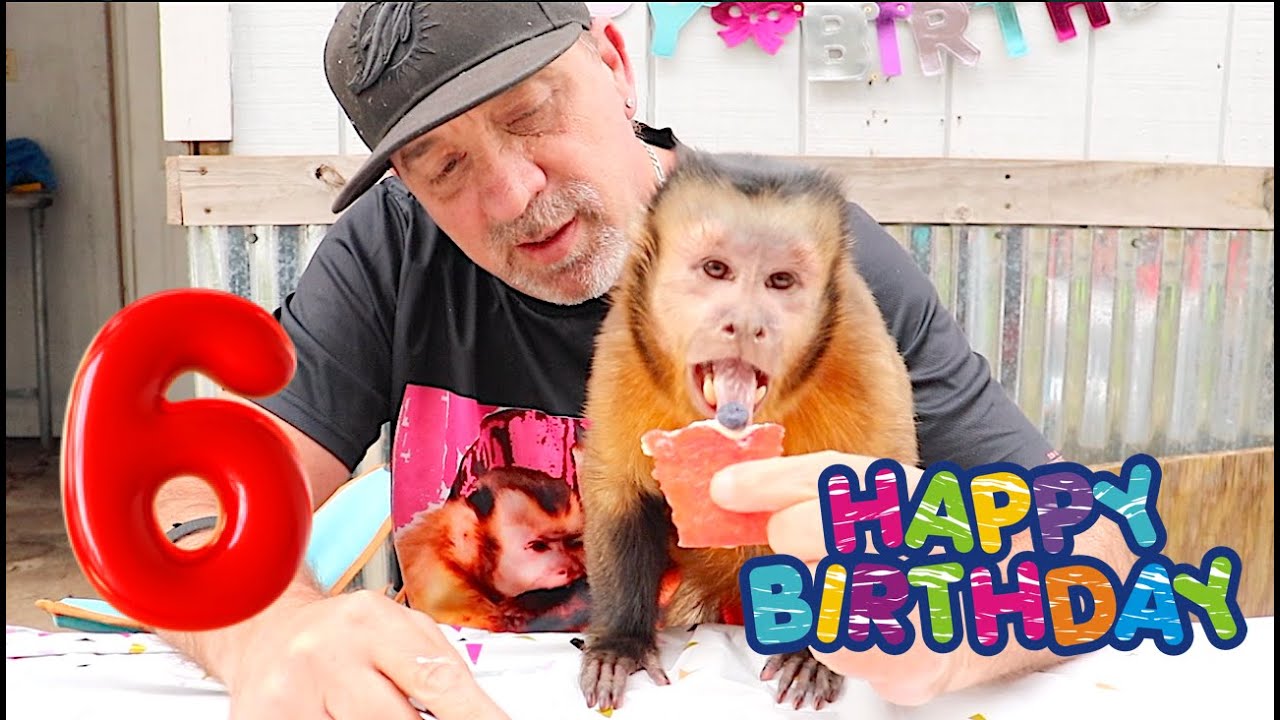 Happy Birthday Monkey Happy!
