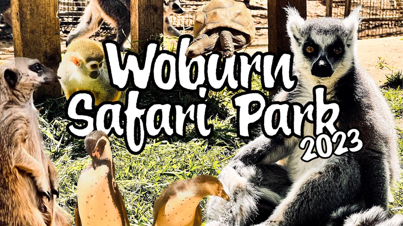Driving around Woburn Safari Park 2023