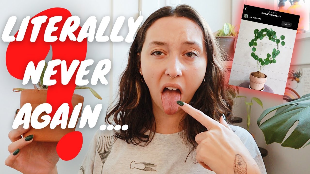 5 houseplants i regret and would NOT recommend | hard houseplants