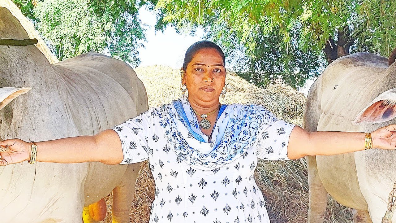 కామనూరు న్యూ క్యాటగిరి విభాగానికి 6వ జత KBRM బుల్స్