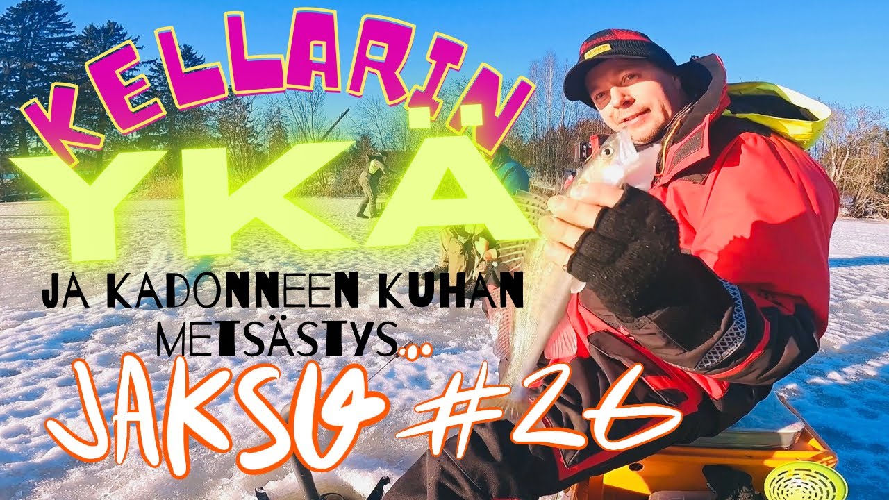Jakso #26 Kellarin Ykä ja kadoneen kuhan metsästys 😬😬