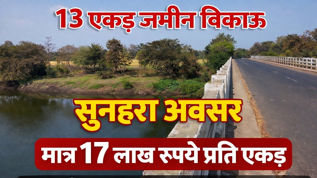 💸सुनहरा अवसर🌾 13 एकड़ जमीन मात्र 17 लाख रुपए प्रति एकड़ बिकाऊ📍 #propertyforsale #youtubevideo