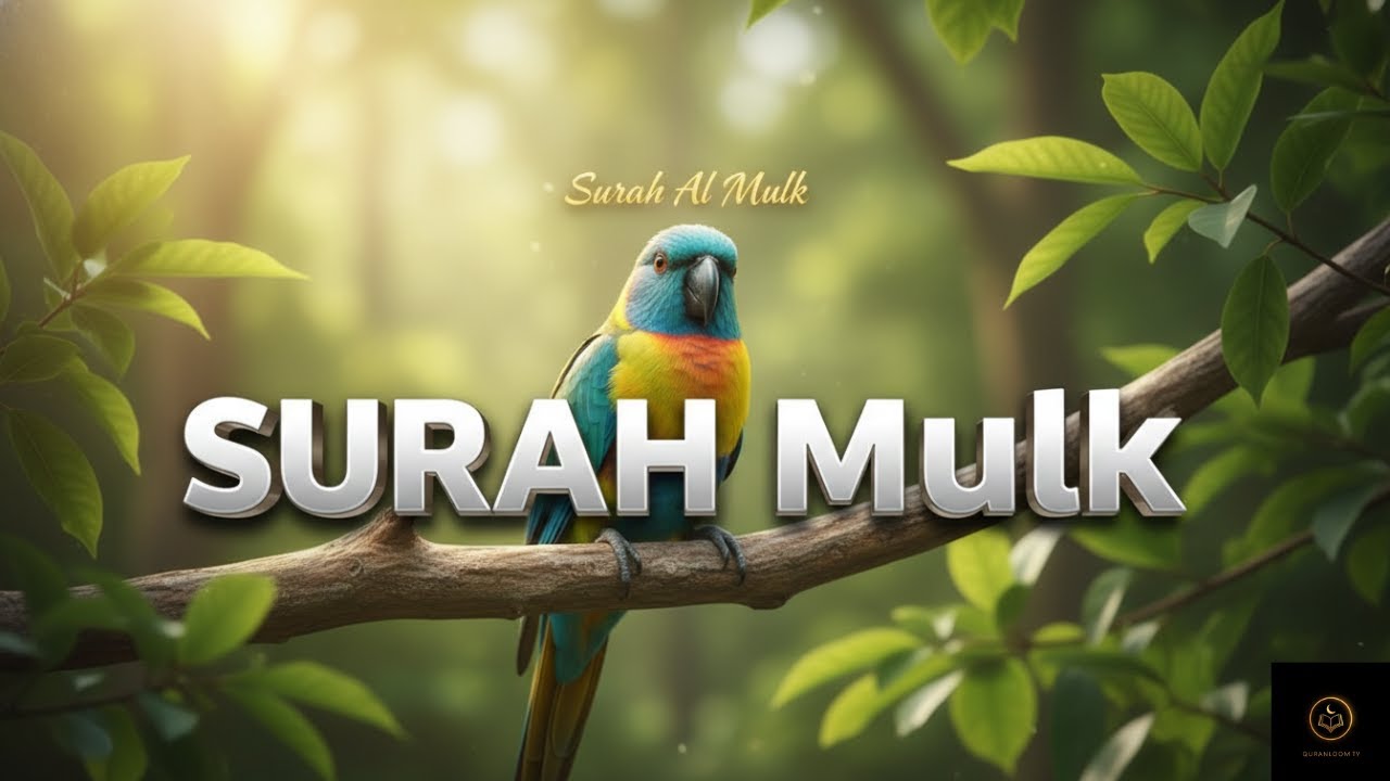 Surah Mulk | Beautiful & Peaceful Quran Recitation | QuranLoom TV