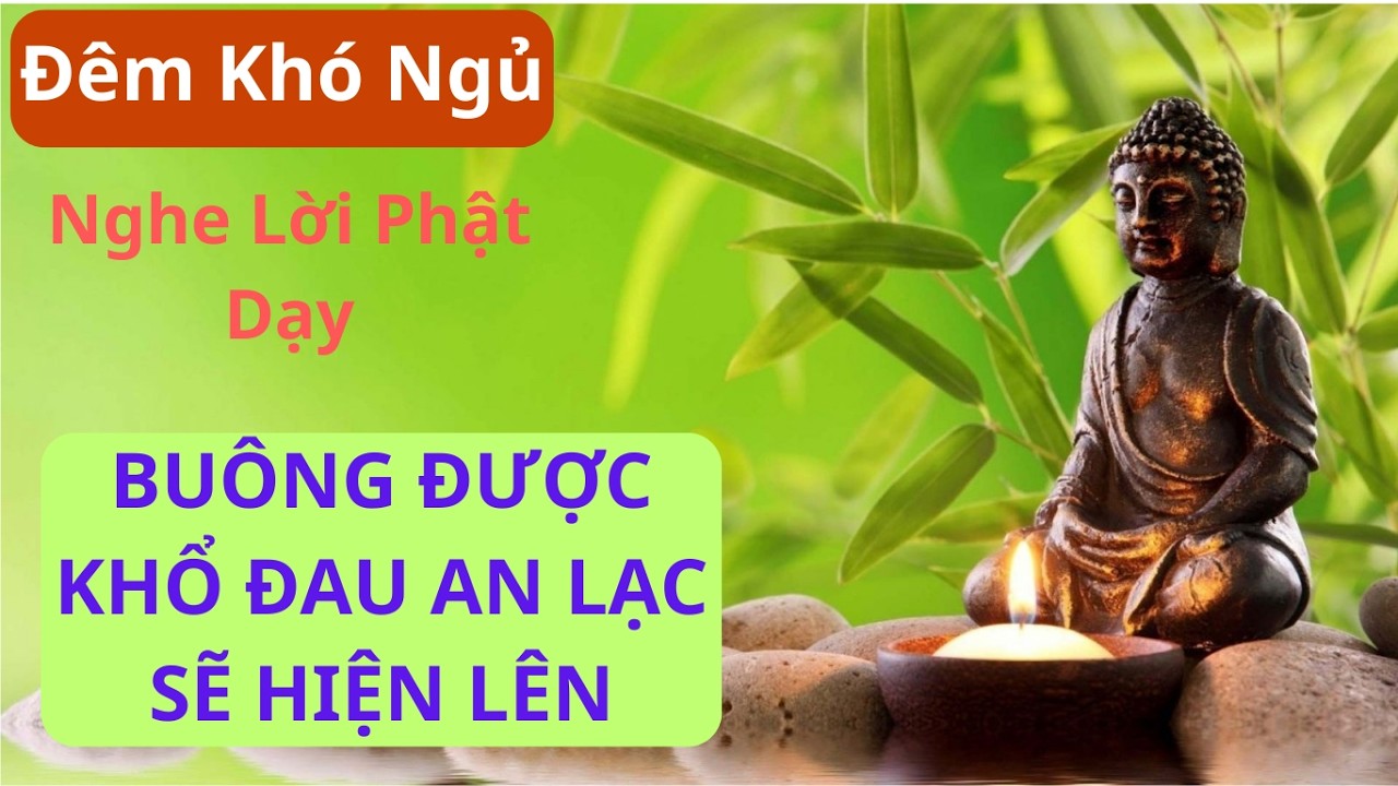 Phật Dạy : Buông Bỏ Khổ Đau, Đón Nhận An Lạc
