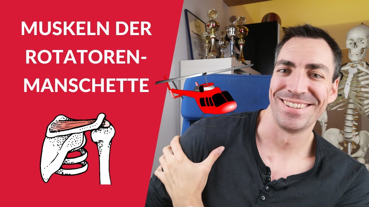 Die 4 Muskeln der  Rotatorenmanschette lernen: So merkst du sie dir langfristig! #eselsbrücke