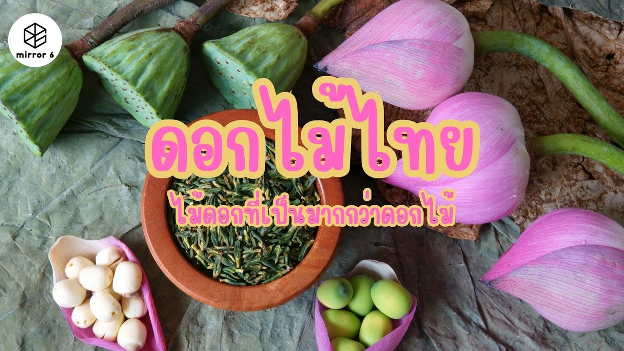 ดอกไม้ไทย ไม้ดอกที่เป็นมากกว่าดอกไม้ | กระจกหกด้าน ตอน กรุ่นกลิ่นดอกไม้