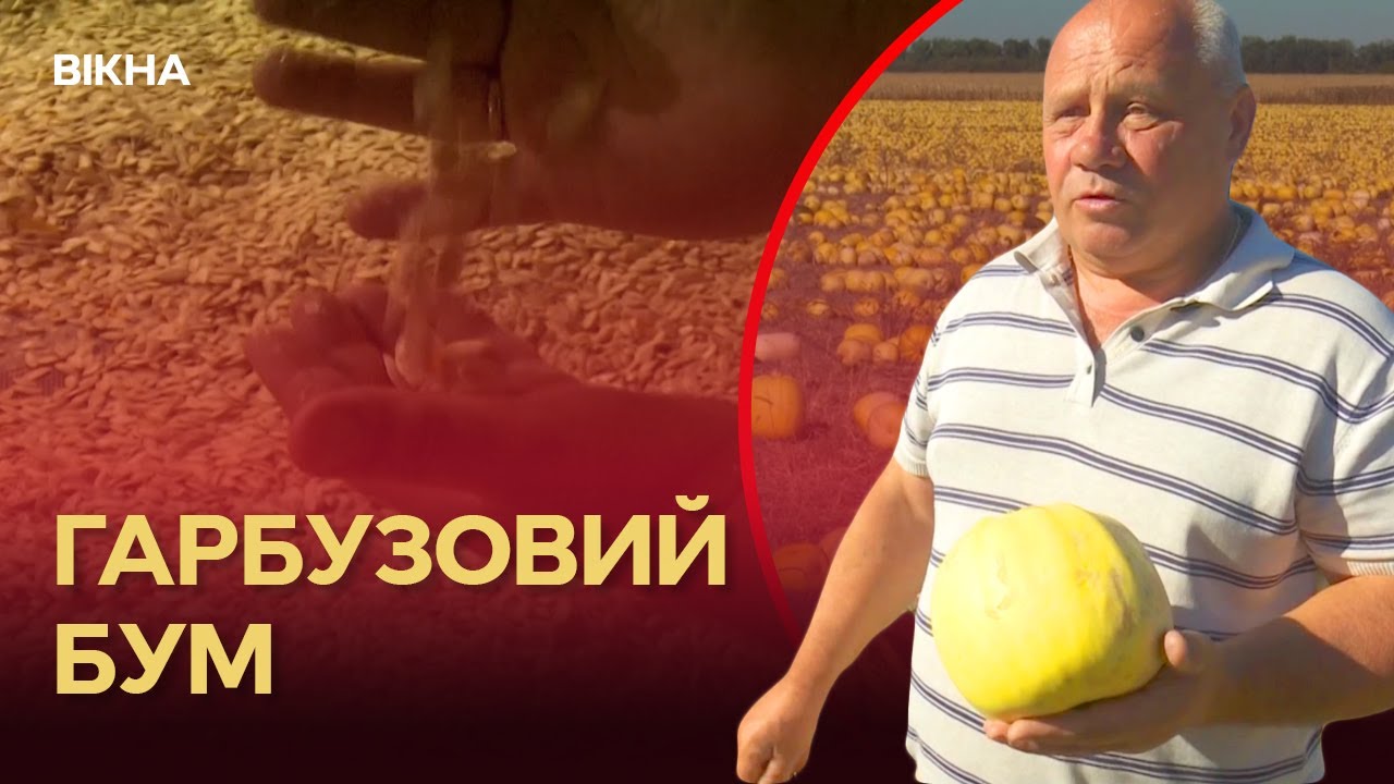 😱  70 ГРИВЕНЬ ЗА КІЛО! Китай ЗІПСУВАВ ЦІНИ? ЗАРОБІТОК гарбузової ФЕРМИ ВПАВ ЧЕРЕЗ ЦЕ...