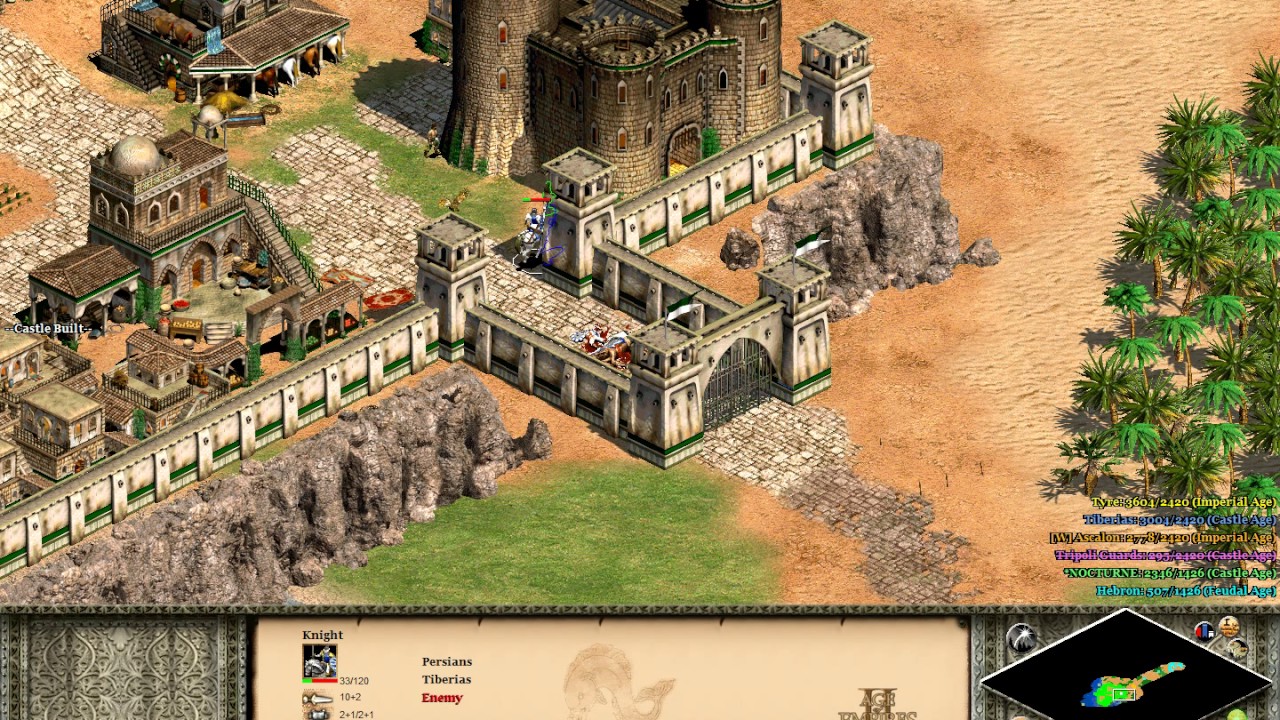 Age of Empires II: Saladin mission 5.