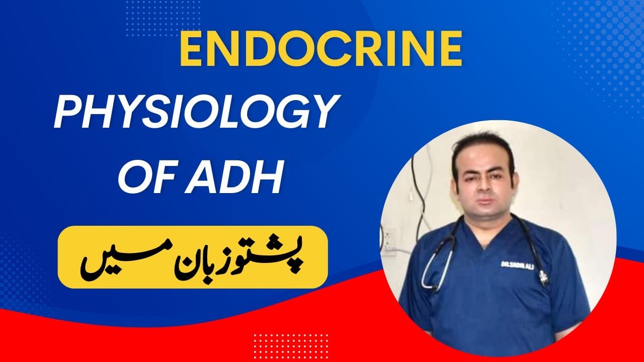 Physiology Of ADH in Pashto Language