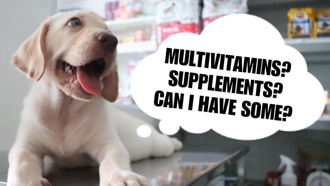 MULTIVITAMINS? SUPPLEMENTS? What options do we have?