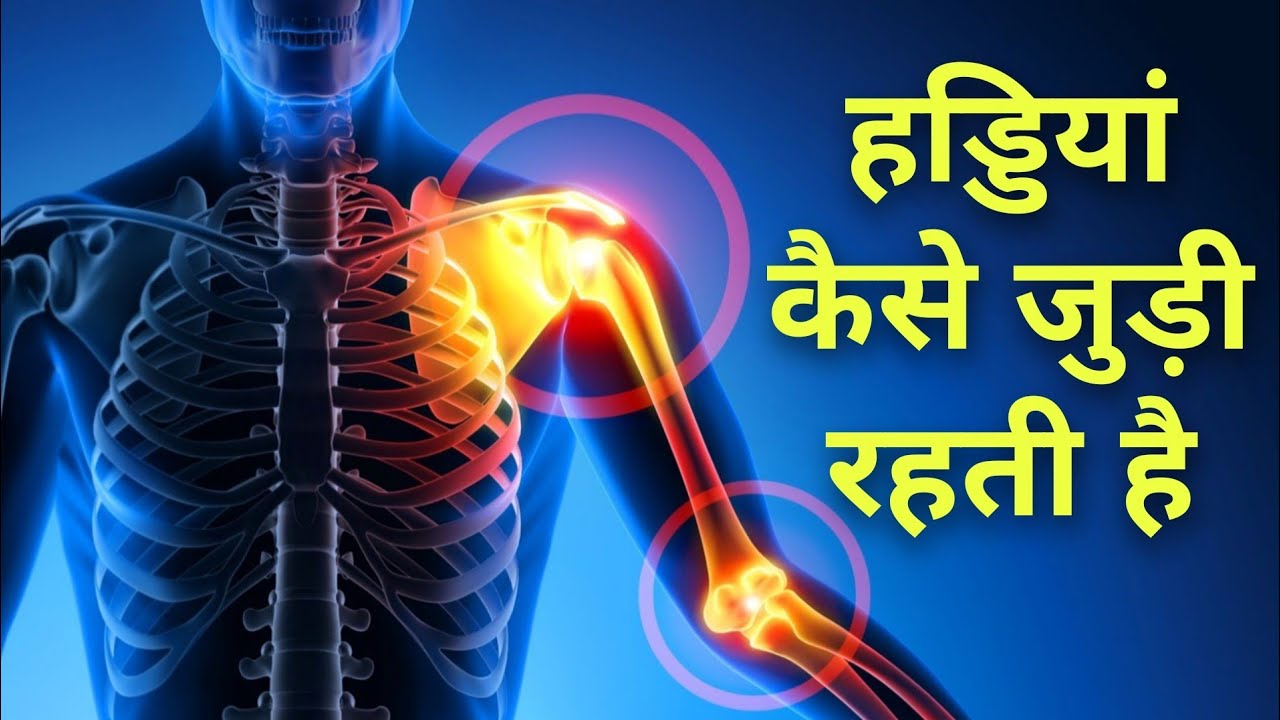 हड्डियां आपस में कैसे जुड़ी रहती हैं - Bone joints in hindi
