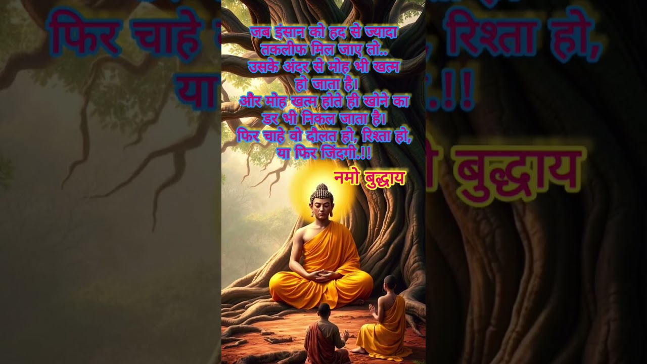 buddha motivation, #buddha #motivational #trending #shortfeed #trueline #inspirational #innerpeace
