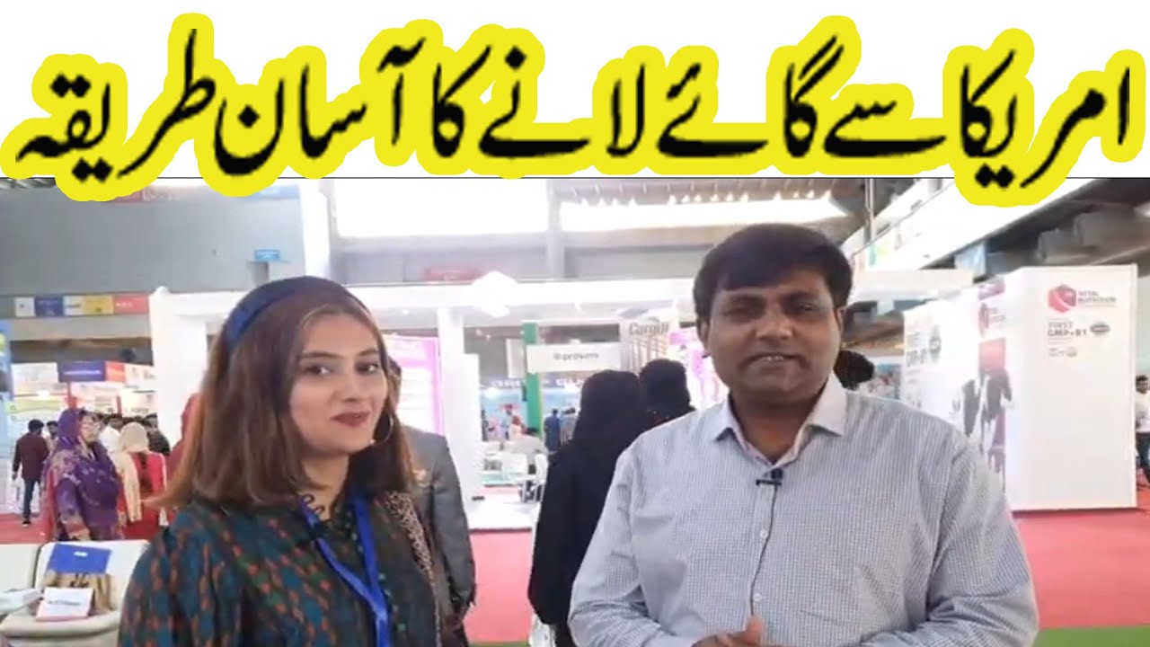 US COWS II Cow import II Dutch Cow II US cows in Pakistan II