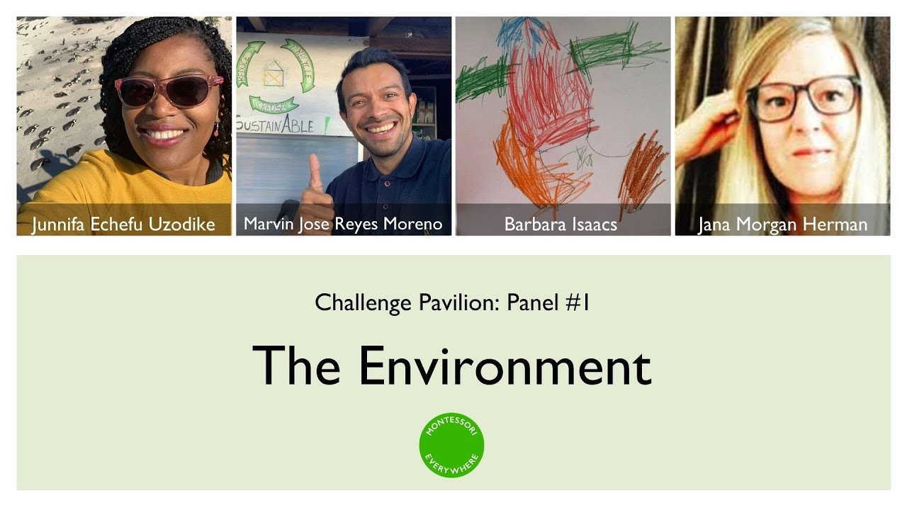 1000 The Environment