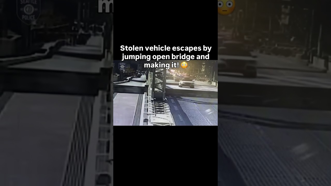 Dude jumped the bridge to evade the cops