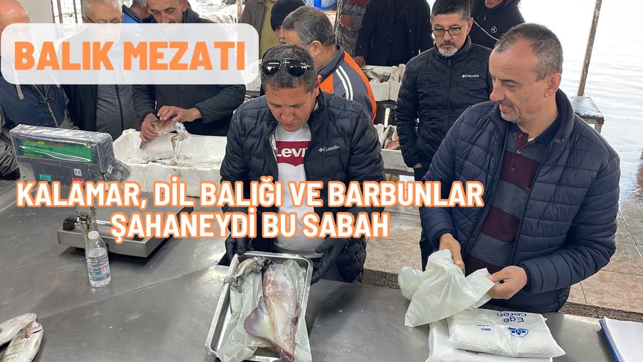Barbun, Kalamar ve Diller Kapışıldı Bu Sabahta 29.02.2024 #balık #mezat #barbun
