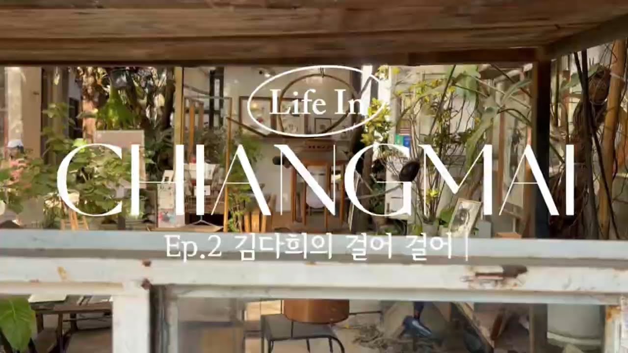 나혼자치앙마이여행2 | 치앙마이, 한바퀴 걸어 보았습니다. (feat.코끼리)