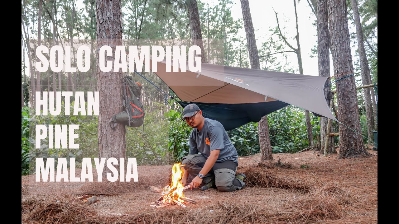 SENDIRIAN bermalam di Terap Pine Forest - Solo Camping Malaysia -