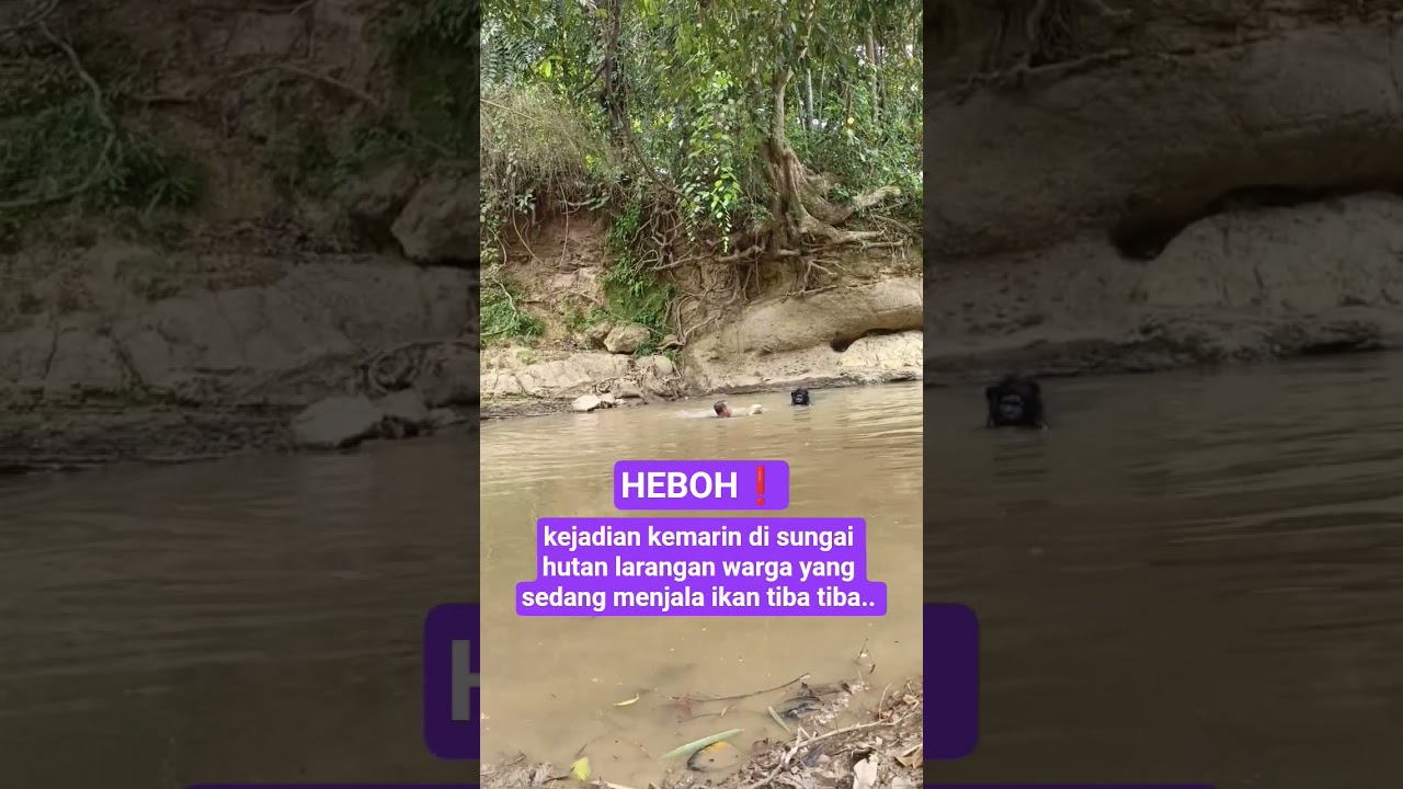 kejadian kemarin di sungai hutan larangan warga yang sedang menjala ikan tiba tiba 
