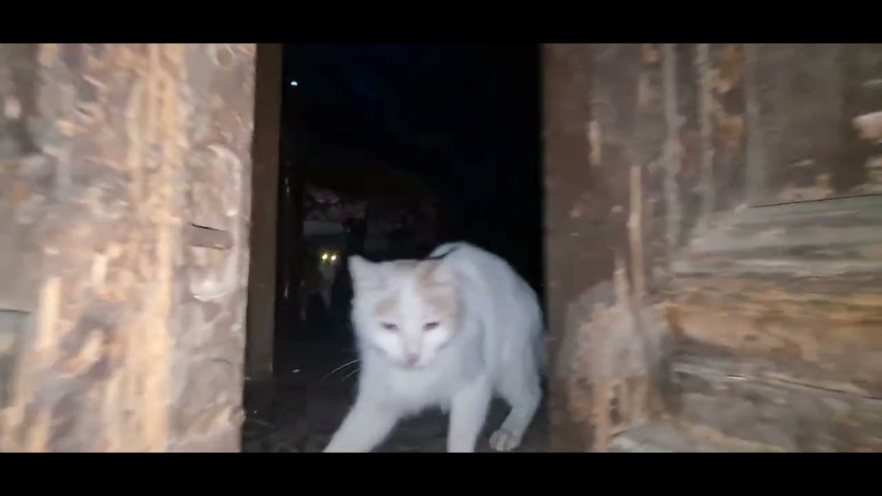 شقة للأيجار.. قريبا كاميرا خفية 