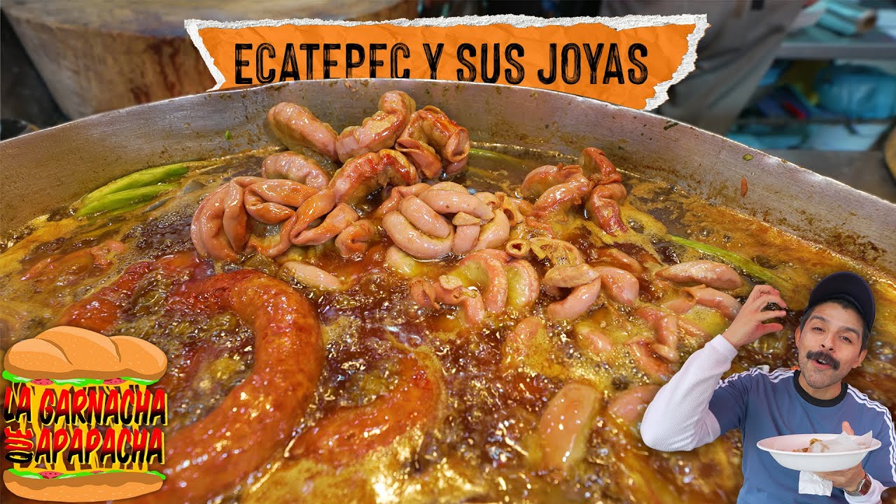 CD. AZTECA y sus GARNACHAS de alta calidad | La garnacha que apapacha
