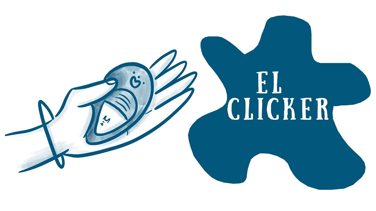 3. Adiestra a tu perro con CLICKER