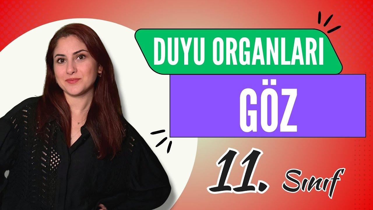 9) GÖZ - DUYU ORGANLARI 1 | 11. SINIF | AYT BİYOLOJİ DERS NOTLARI | 2024