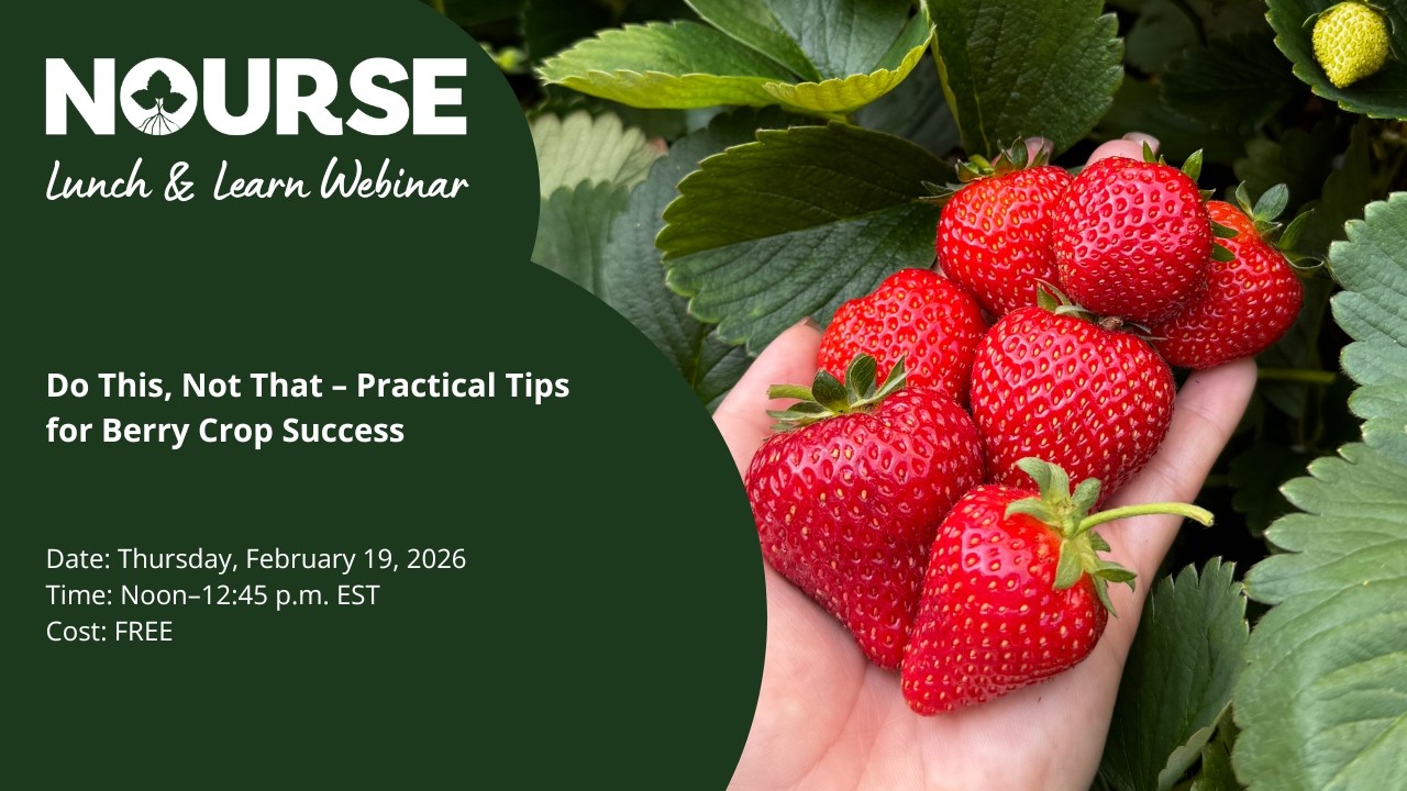 Nourse Farms Lunch & Learn Webinar: Do This, Not That — Practical Tips for Berry Crop Success