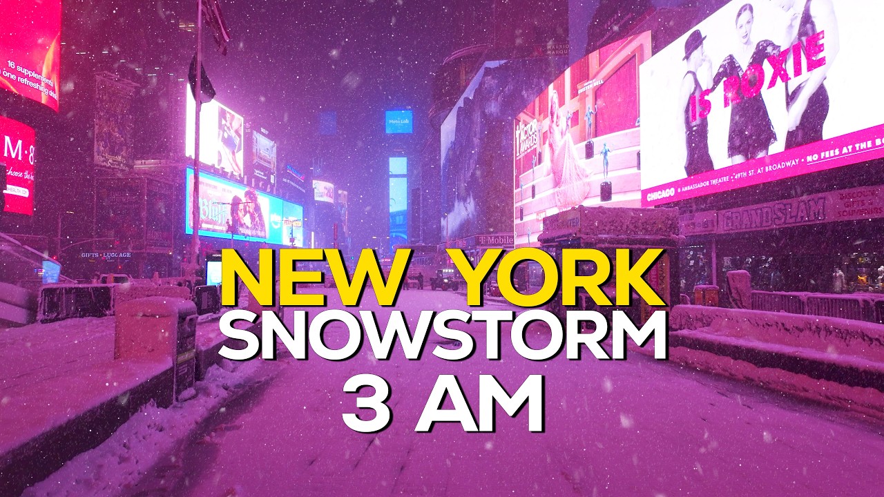I Walked NYC at 3AM During a Snowstorm Hernando!