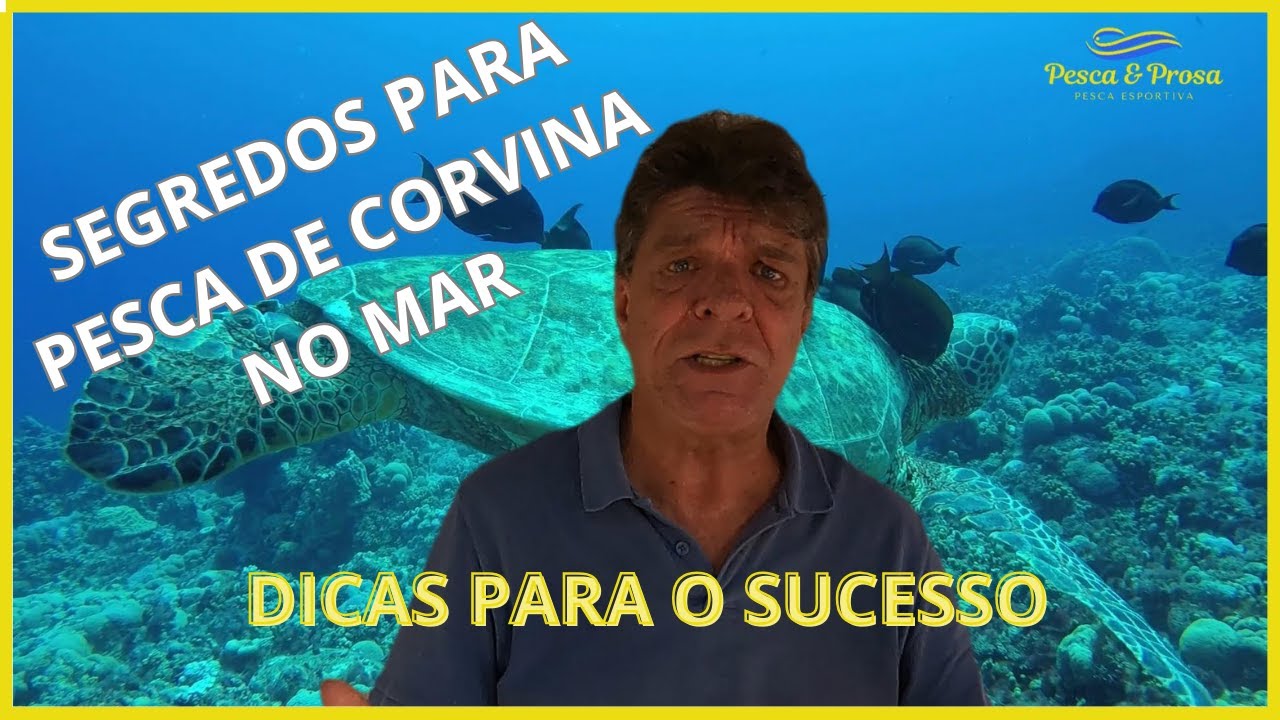Segredos da Pesca Técnica de Corvina: Dicas e Truques para Pegar os Maiores Exemplares!