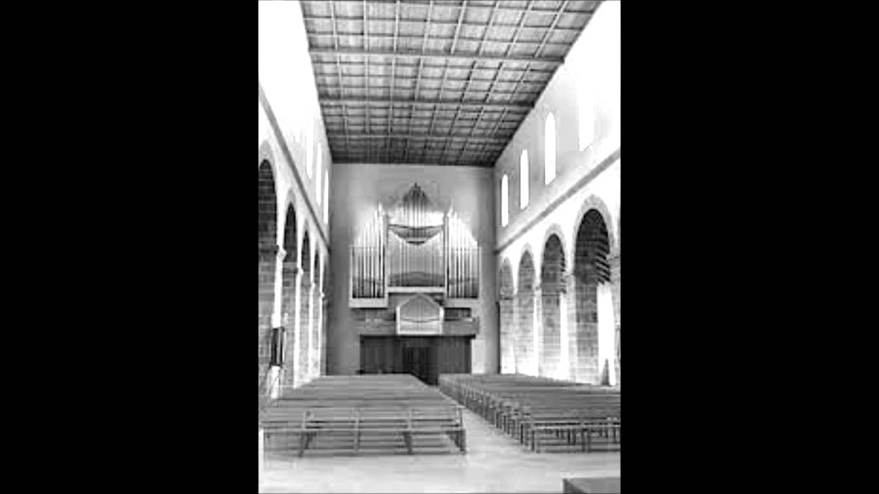 J.G. Walther (1684 - 1748) Concerto del Sig. Taglietti - Walter Gatti, organ