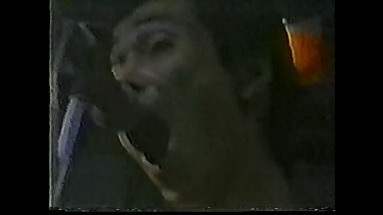 COOLS(舘ひろし)野外ライブ１９７６年