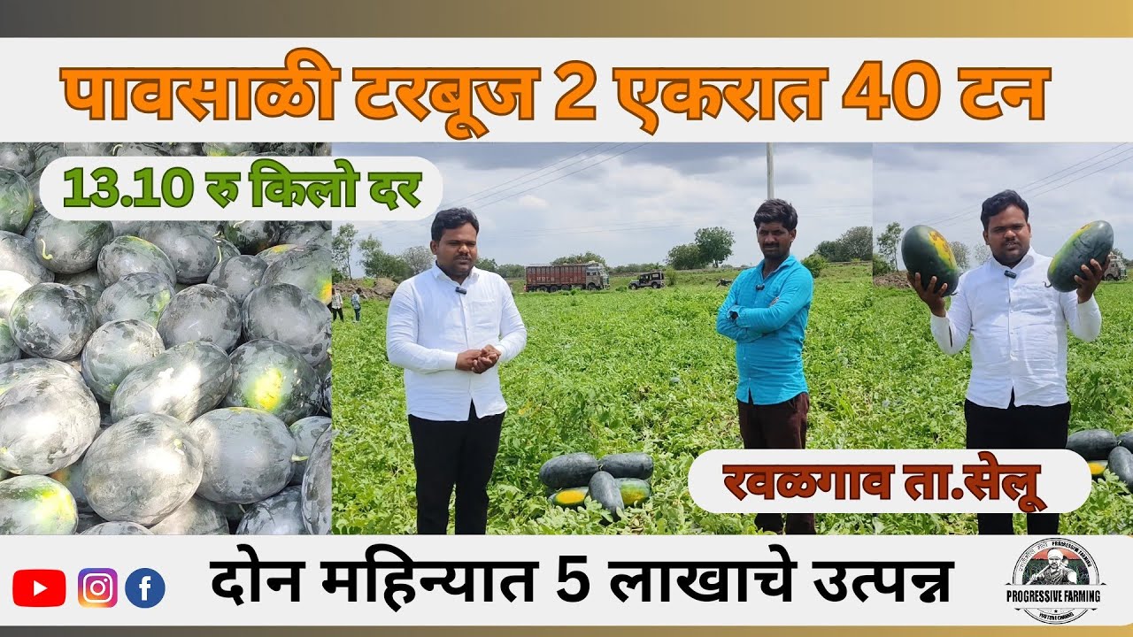 पावसाळी टरबूज/कलिंगड 2 एकरात 40 टन|दोन महिन्यात 5 लाखाचे उत्पन्न|13.10 रु दर|Progressive Farming