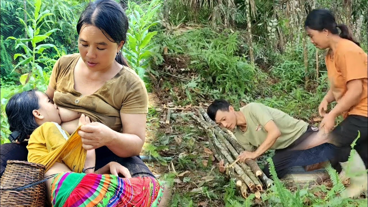 Single Girl Builds a Bamboo Fence to Protect Her Garden & Earn Extra Income