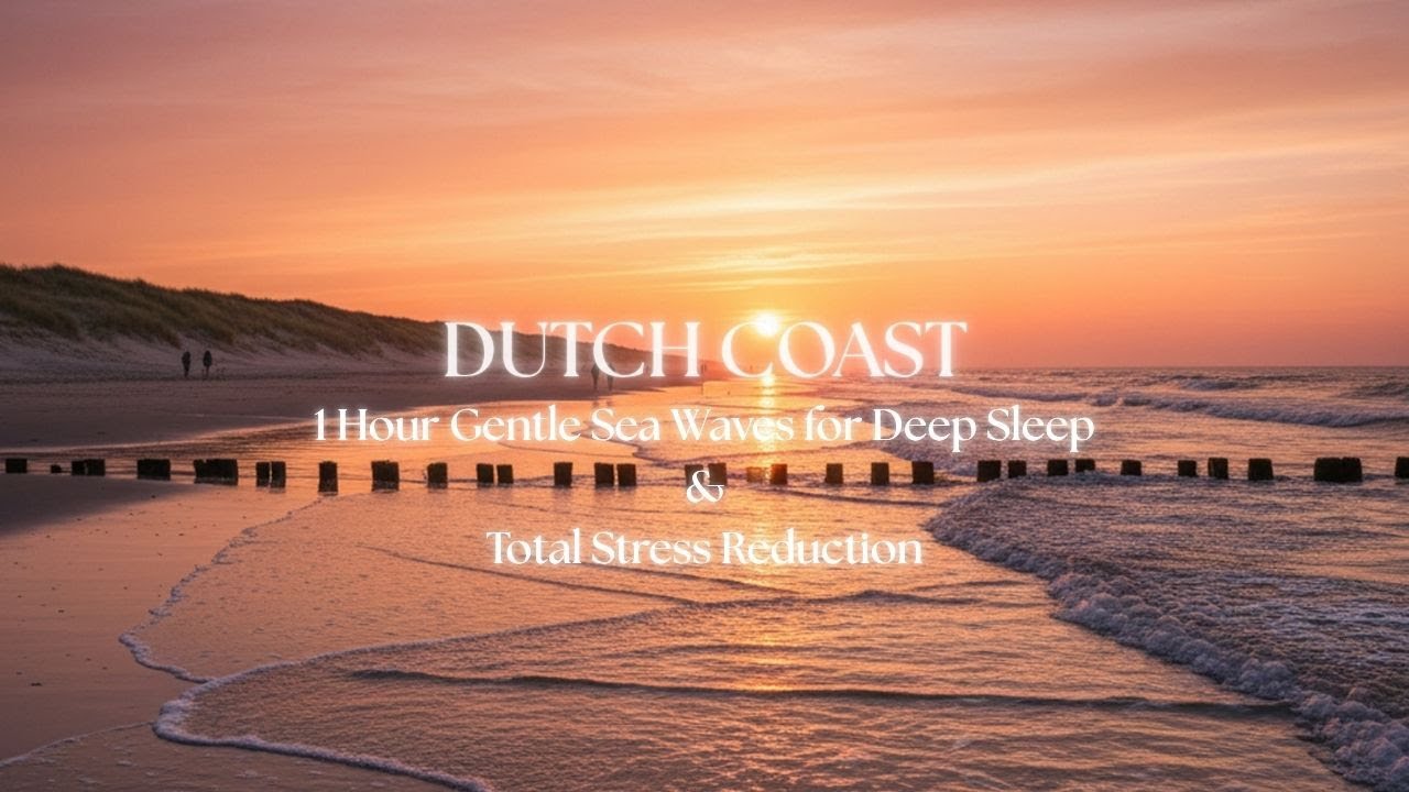 Dutch Sea Waves Ambience for Deep Sleep - Netherlands Nature Sounds