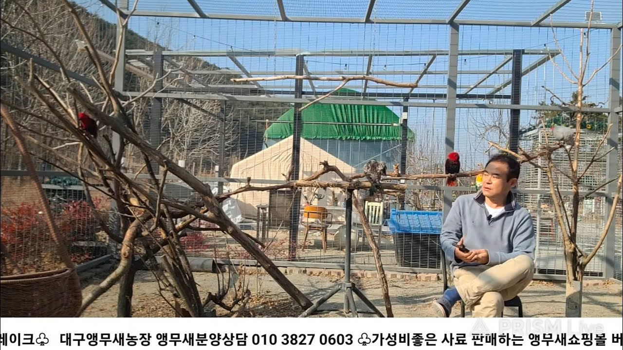 대구앵무새농장 [ Birdlake ] 앵무새 키우는 사람들의 이야기 20260215