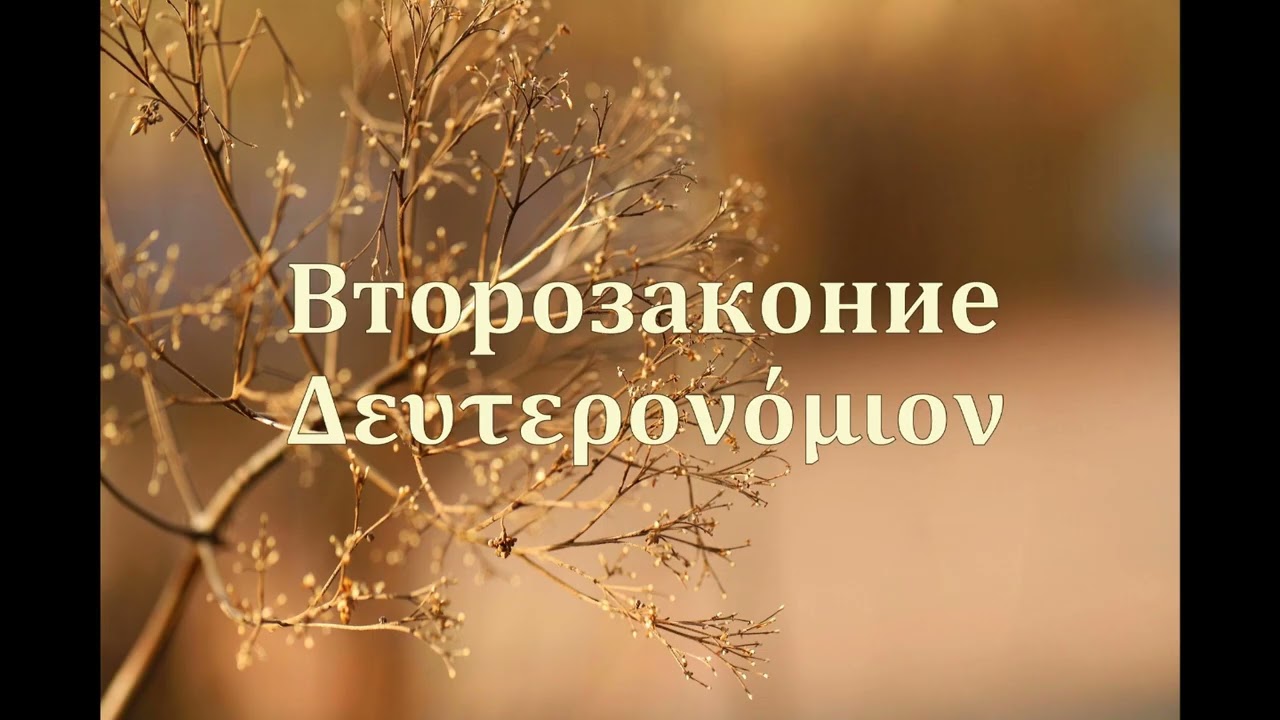 ВТОРОЗАКОНИЕ