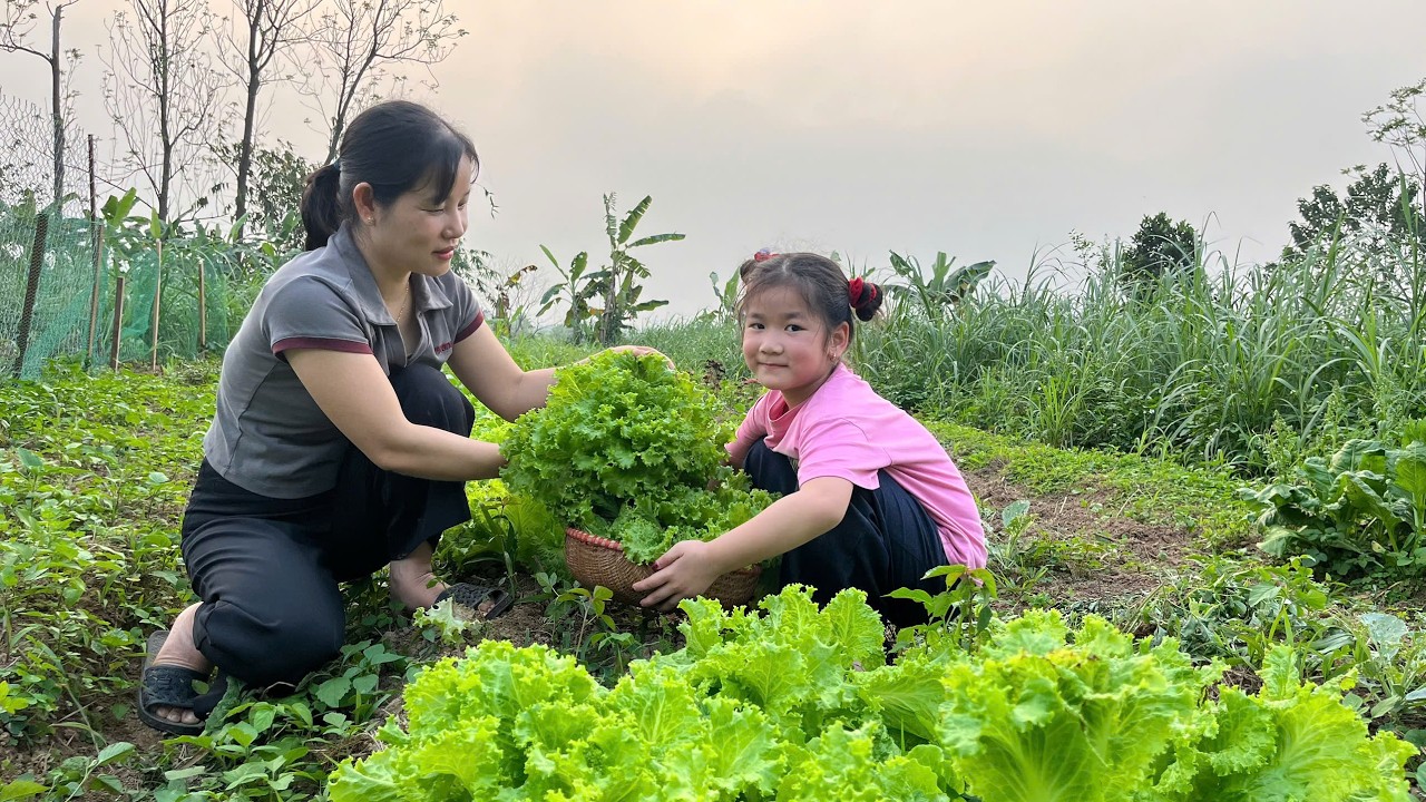Món bánh gối giòn rụm ăn kèm rau sống món ăn bé Dâu tây rất mê| Ẩm Thực Kiều Quê