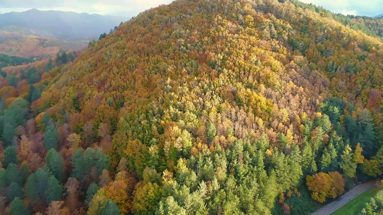 Drone tra i boschi dei Monti Nebrodi