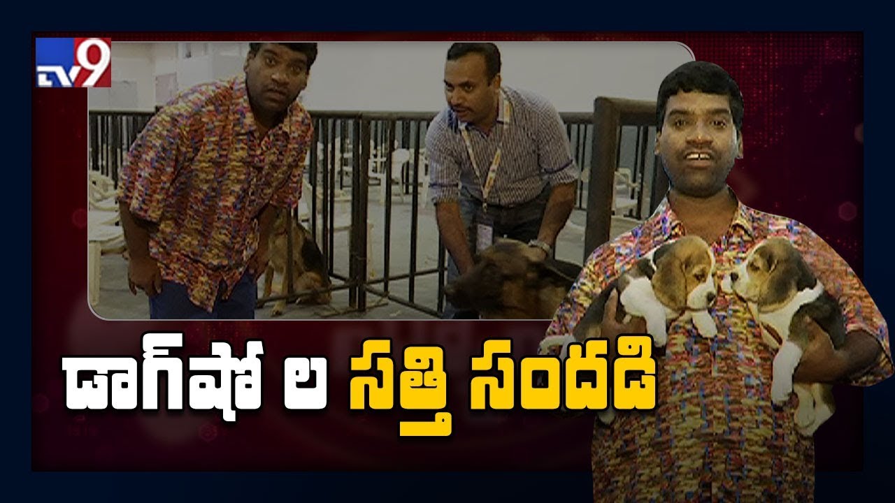 డాగ్ షోల సత్తి సందడి.! : iSmart News || iSmart Sathi comedy - TV9
