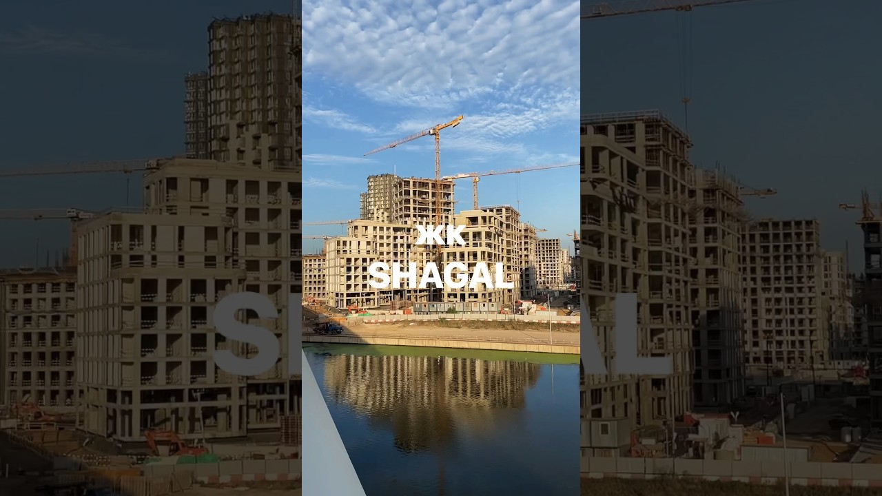 Все о жк SHAGAL за 1 минуту! #жкshagal #новостройкимск #дизайнинтерьера