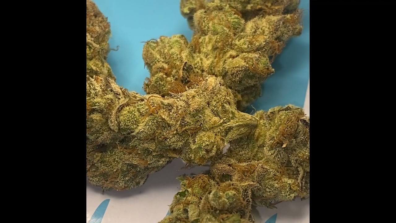 PEARADISE strain review by TEAM ELITE GENETICS IG: cali_bud_reviews