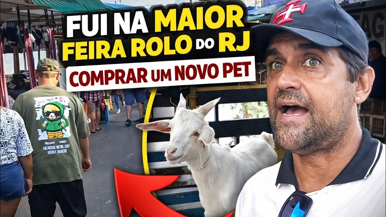 MAIOR FEIRA DO ROLO RIO DE JANEIRO 