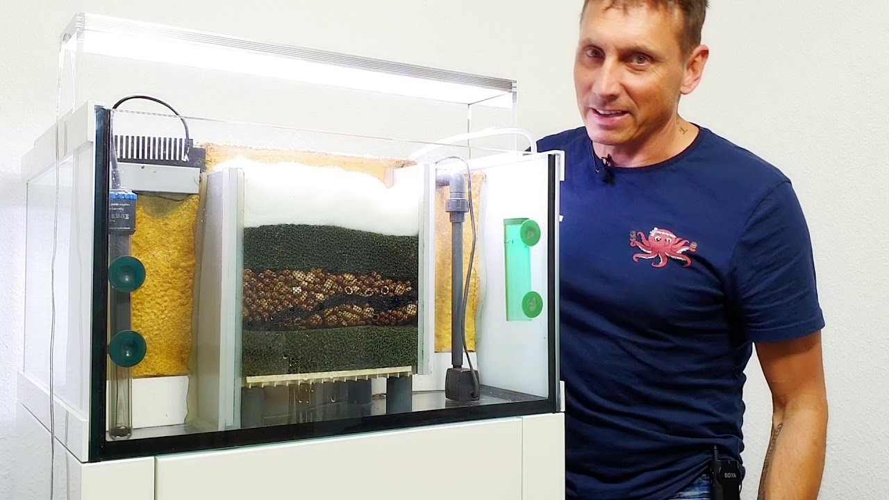 60cm tank with background filter