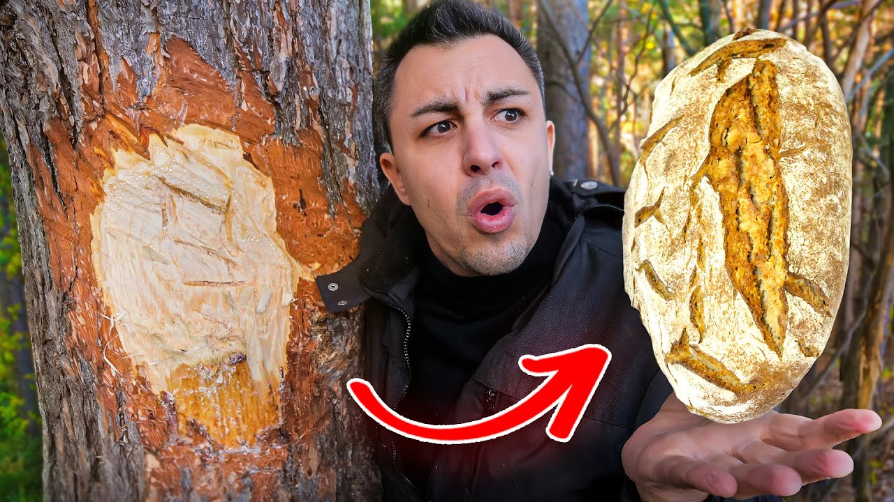 FAIRE DU PAIN AVEC DES ARBRES ! (survie en hiver)