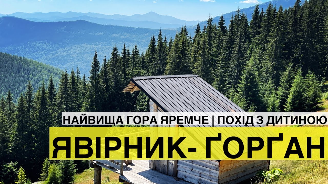 Похід на Явірник-Ґорґан з дитиною: гори, полонини і кедри!