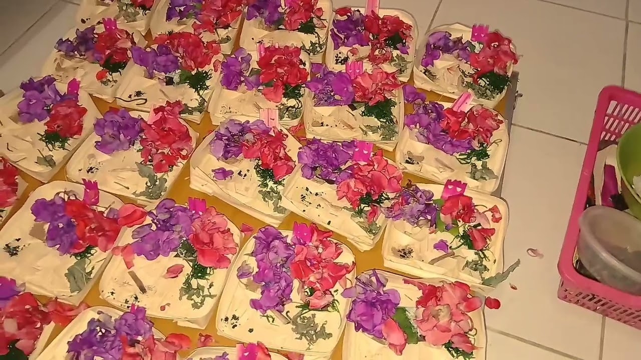 Mengenal Hari Raya Galungan 🤍