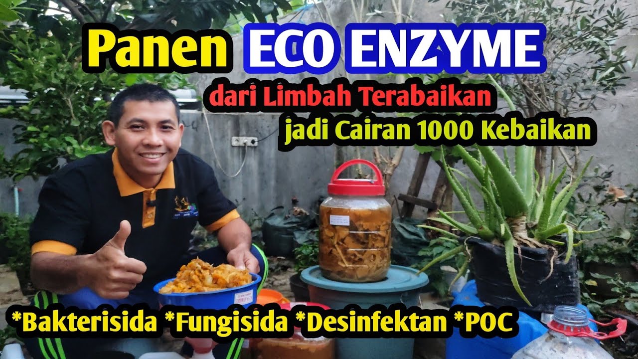 Eco Enzyme: Panduan Praktis Panen dan Aplikasi yang Tepat untuk Tanaman