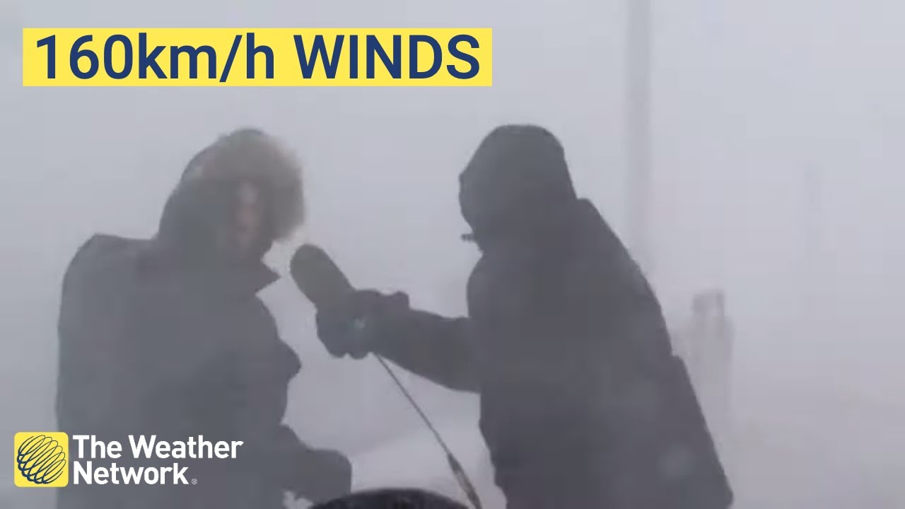 Reporters blown off by 160km/h winds during live blizzard in Nova Scotia